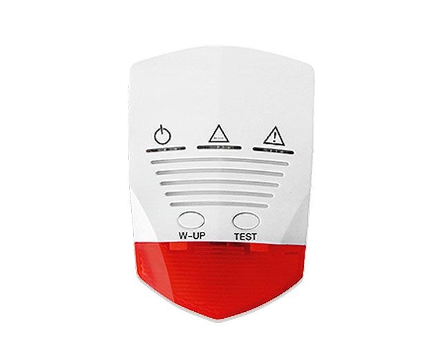 What is a Two-in-One Gas Detector Alarm?